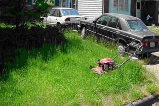 Unkempt front yard with long grass