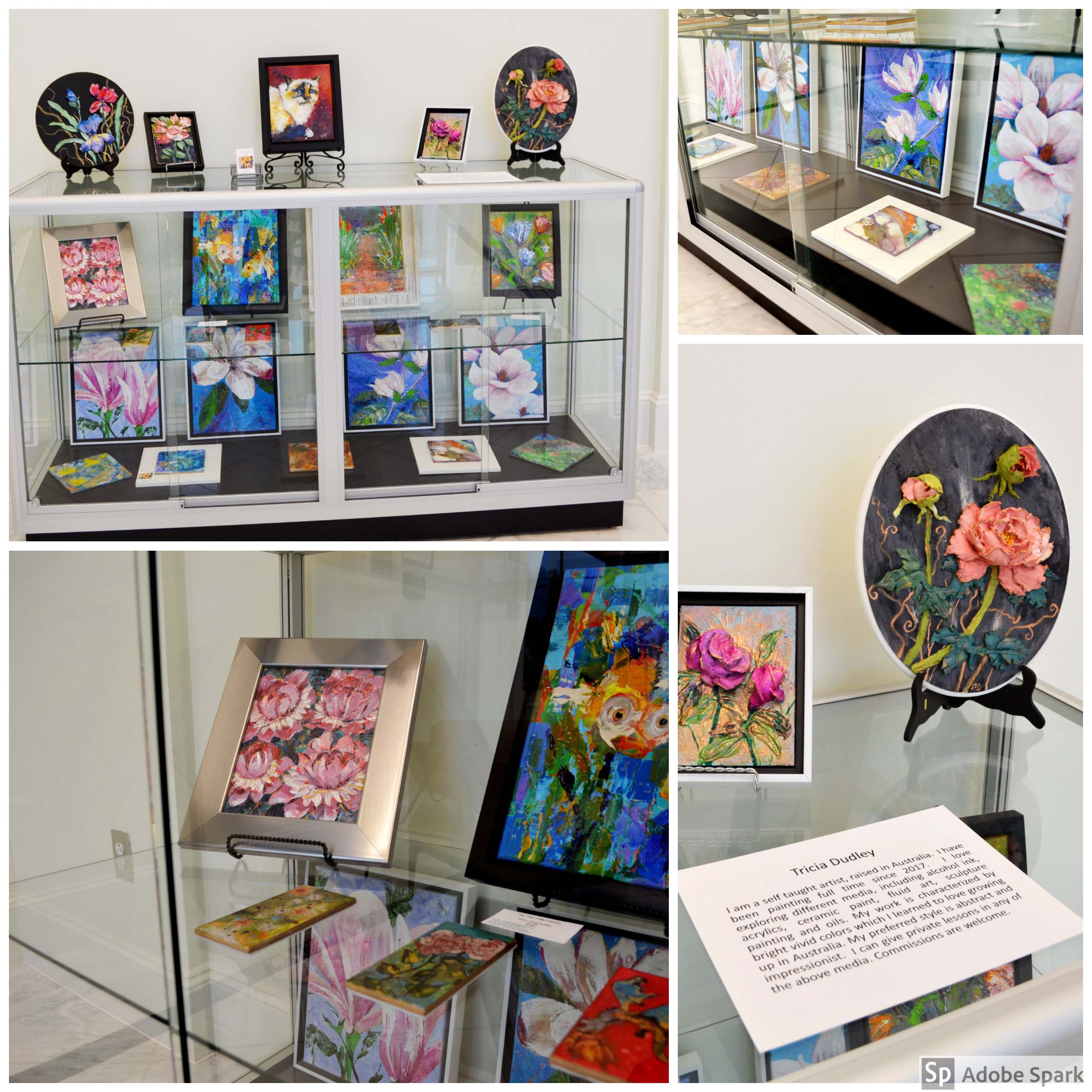 Tricia Dudley Art Display