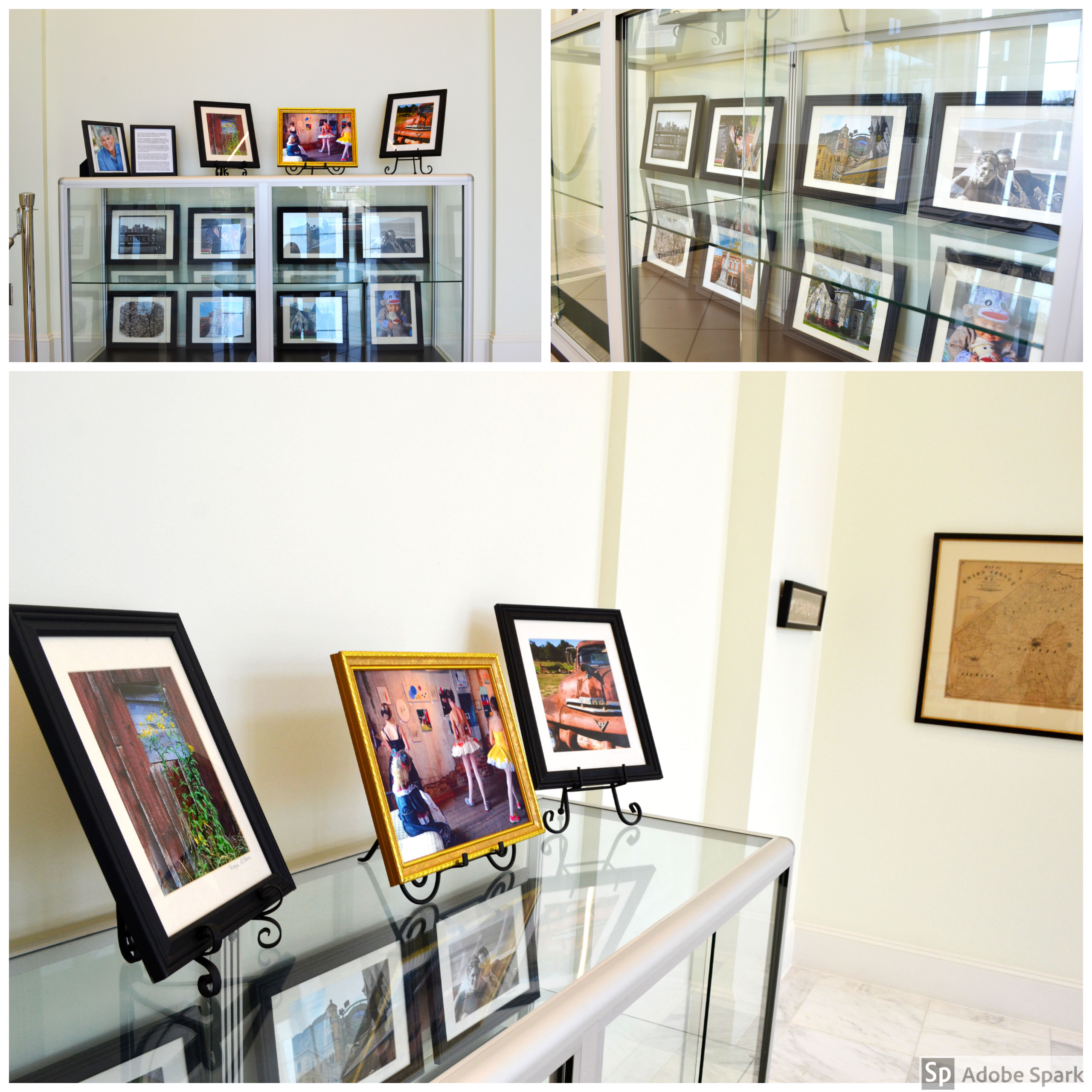 Lorayn DeLuca Art Display